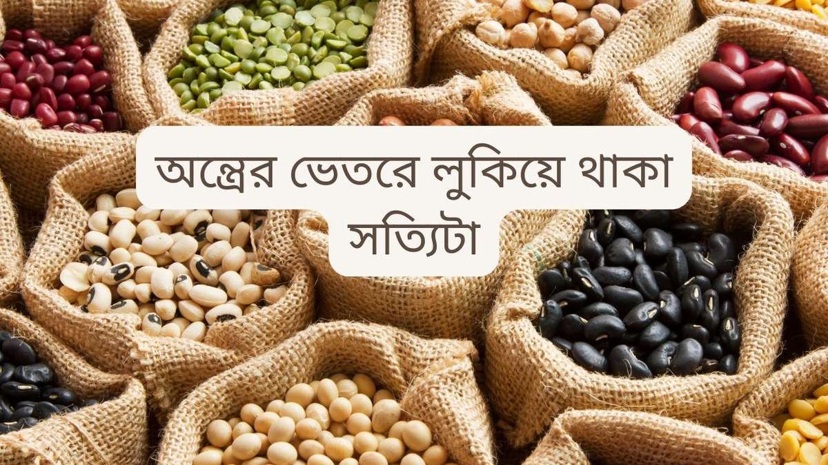 অন্ত্রের ভেতরে লুকিয়ে থাকা সত্যিটা